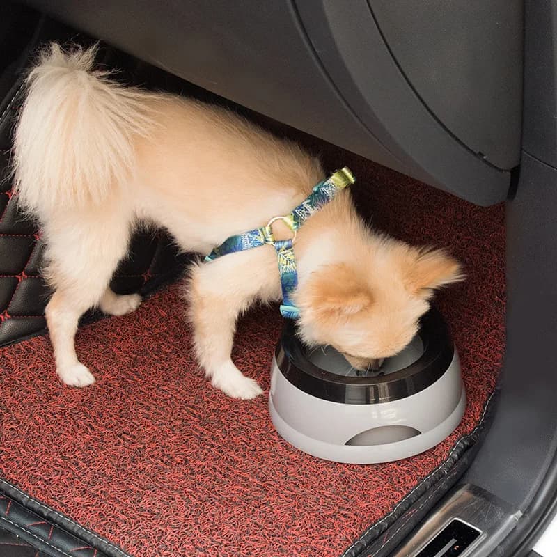 Bebedouro portátil para animais de estimação, tigela à prova dágua para uso em veículo, acessório para cachorro e animal de estimação
