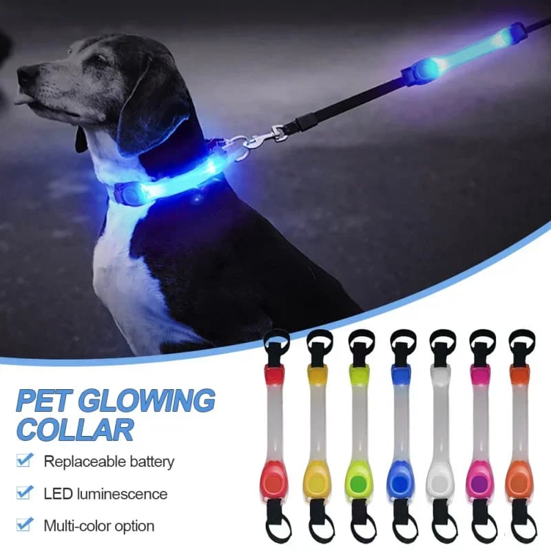 Coleira brilhante de segurança anti-perda para cães à prova dágua, pingentes multicoloridos e faixa de luz LED piscante pronta para atividades ao ar livre, visibilidade noturna