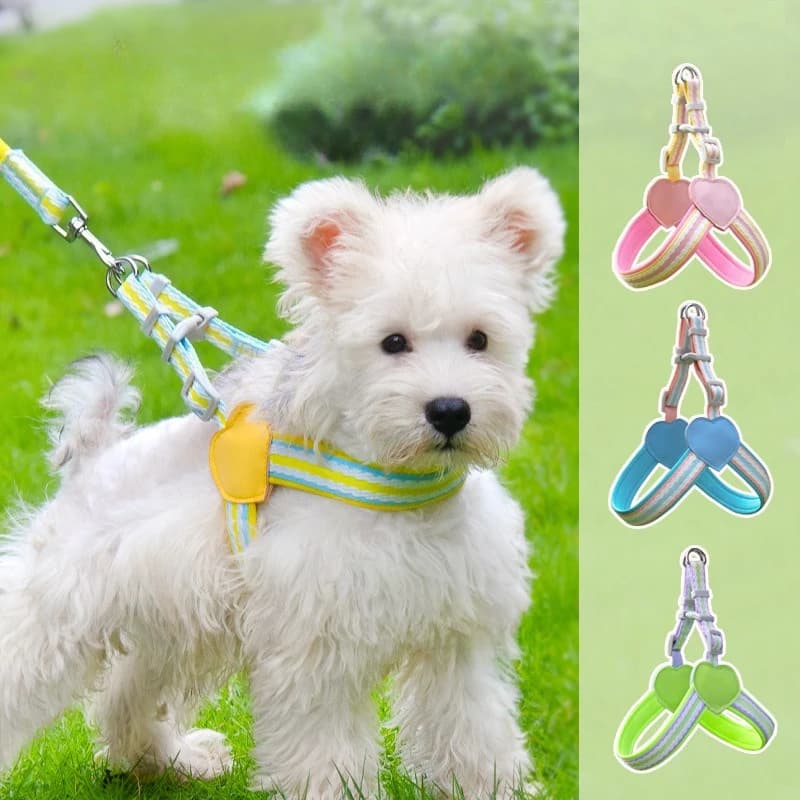 Conjunto de coleira para cães de estimação, pequeno, médio e grande, colete para gatos, cachorro, cinta peitoral, buldogue francês, chihuahua, suprimentos para animais de estimação