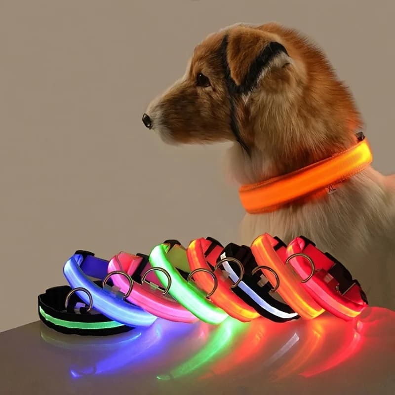 Coleira de nylon com LED para cães, brilhante no escuro, luminosa e fluorescente, para segurança noturna.
