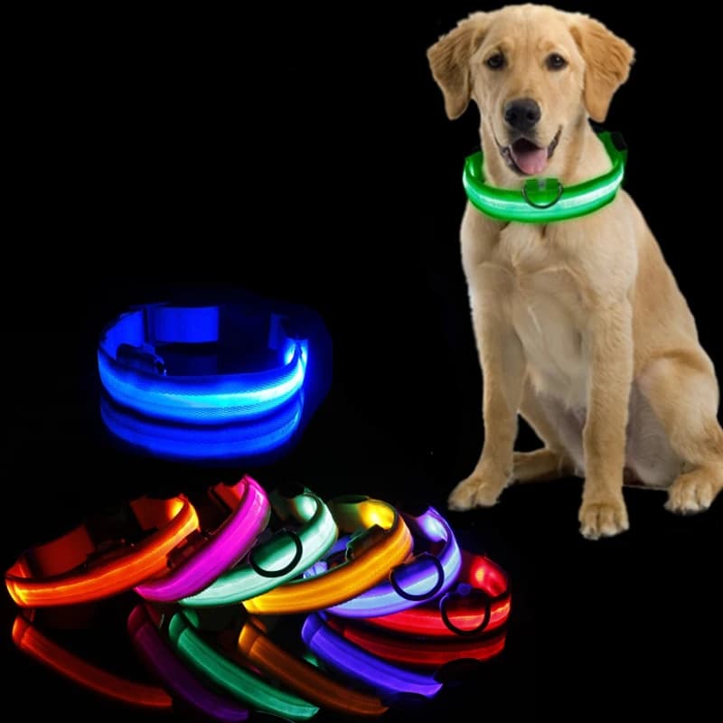 Coleira led para cães, coleira anti-perda para cães, filhotes noturnos, suprimentos luminosos, produtos para animais de estimação, acessórios, carregamento usb/bateria