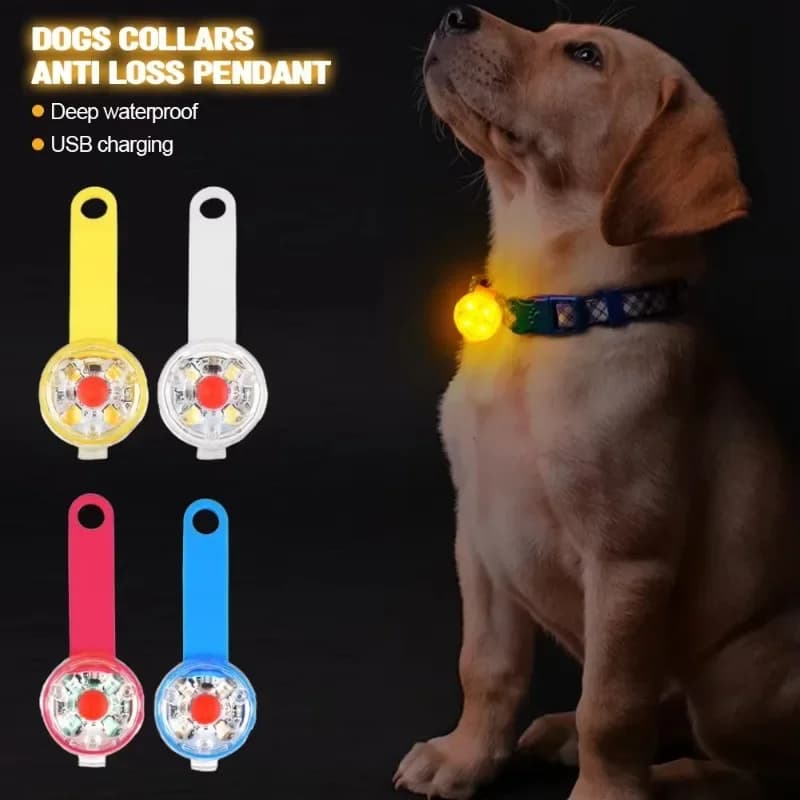 Coleira LED Recarregável USB à Prova dÁgua para Cães, Luz de Segurança de Alta Luminosidade para Animais de Estimação