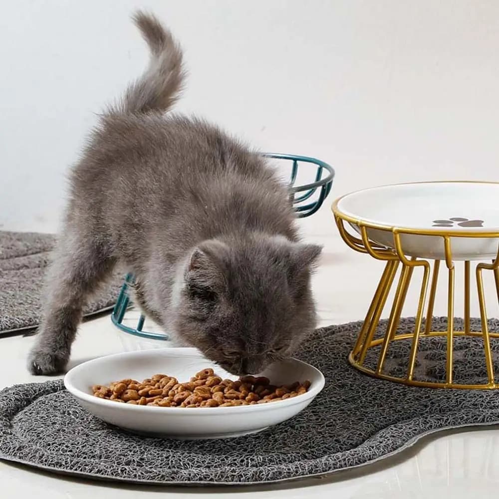 Comedouro e Bebedouro Elevado de Cerâmica para Gato, Cachorro, Filhote, Artigos para Animais de Estimação, Tigela para Ração e Água