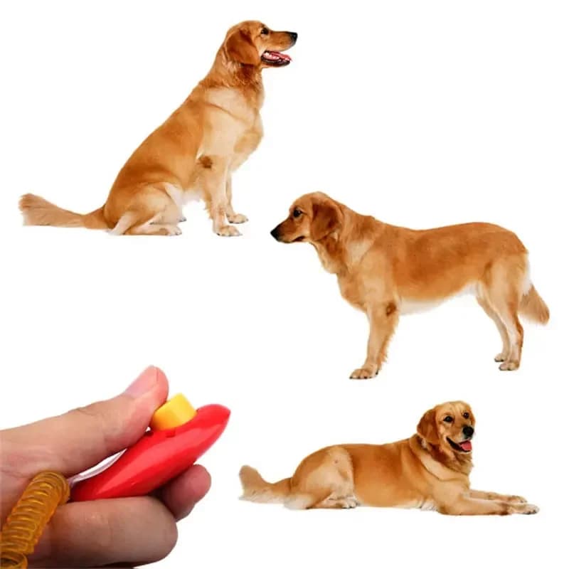 Correia universal de treinamento de animais de estimação, cachorro, gato, alta qualidade, clicker, auxílio de emblema, ferramentas de treinamento para animais de estimação, 1 peça