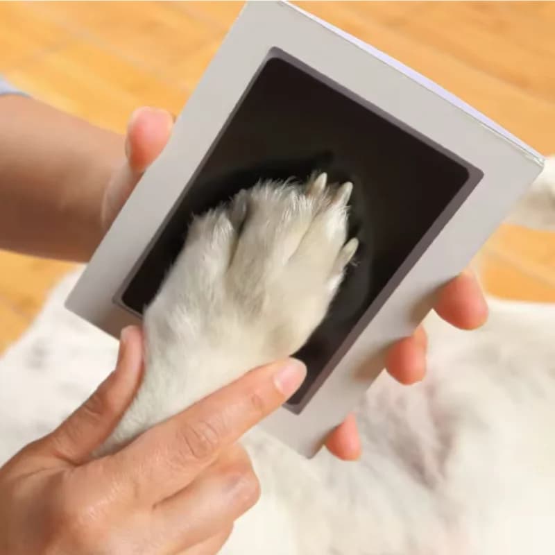Conjunto de tinta para impressão de pata de cachorro e gato, seguro, não tóxico, impressões de mãos de bebê, sem lavagem, fácil de limpar, faça você mesmo, lembranças para animais de estimação com mel