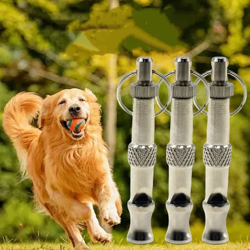 Apito de treinamento de cachorro com som ultrassônico ajustável, ferramenta de controle silencioso para animais de estimação, disciplina, parar de latir, flauta, suprimentos de cuidados com animais de