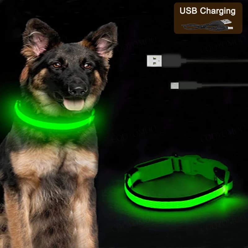 Coleira de carga luminosa para cães, 3 modos, led usb, coleira para cães e gatos, destacável, brilho noturno, prevenção de perda de cachorro, acessórios para animais de estimação