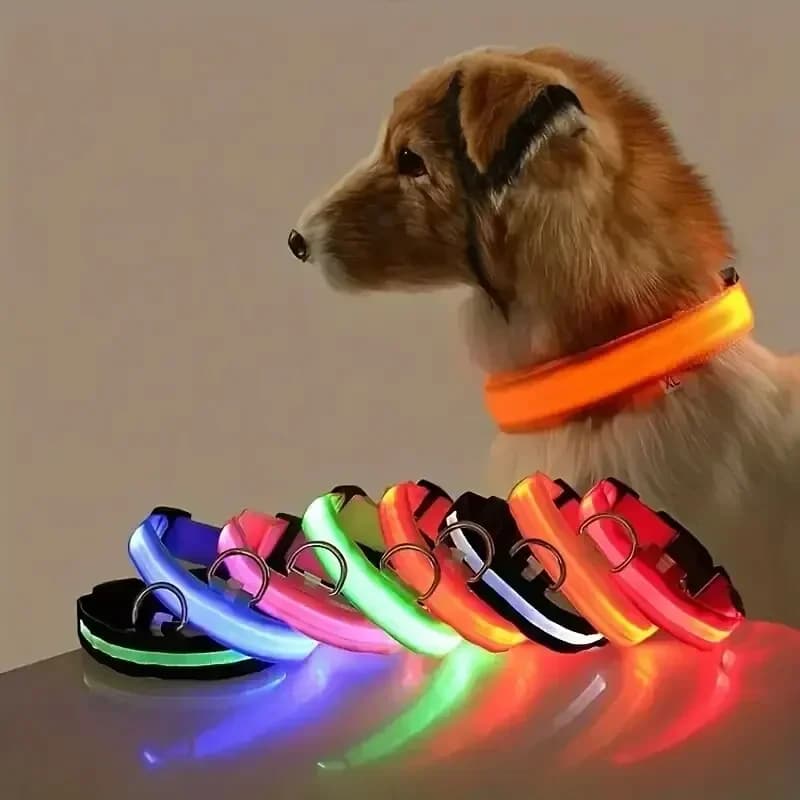 Coleira led para cães de estimação, coleira de segurança para caminhada noturna piscando que brilha no escuro, coleira de bateria para cães pequenos, médios e grandes