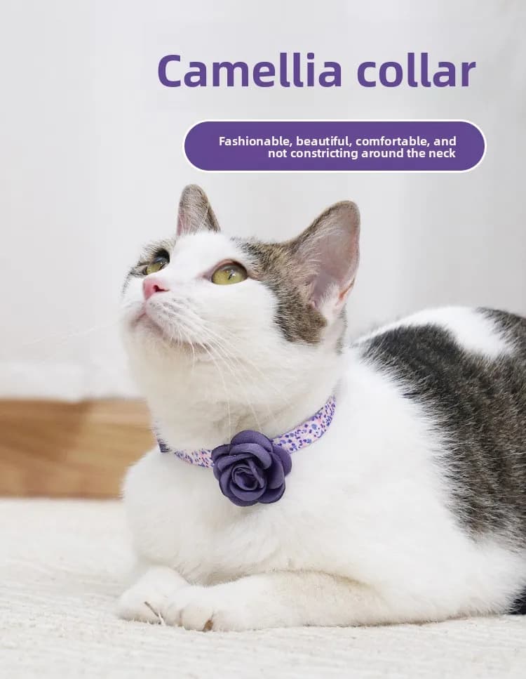 Coleira para animais de estimação com flor de camélia, ajustável, adorável, moderna, para gatos, gatinhos, cachorros e cães pequenos, colar, guia para passeios ao ar livre.
