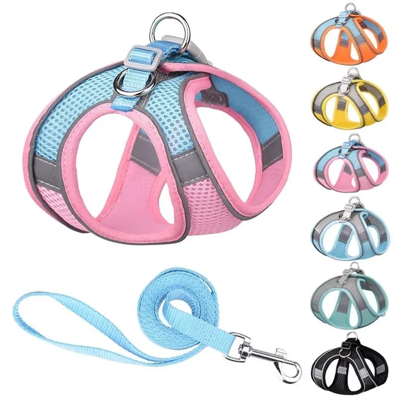 Conjunto de coleira para cães pequenos, coleira ajustável para cachorros e gatos, buldogue francês, chihuahua, pug, caminhada ao ar livre