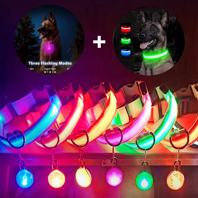 Coleira de Cão Brilhante com Carregamento USB e Pingente Destacável, Luz LED Luxuosa e Brilhante para Cães Pequenos e Gatos, Coleira de Segurança Noturna por Atacado