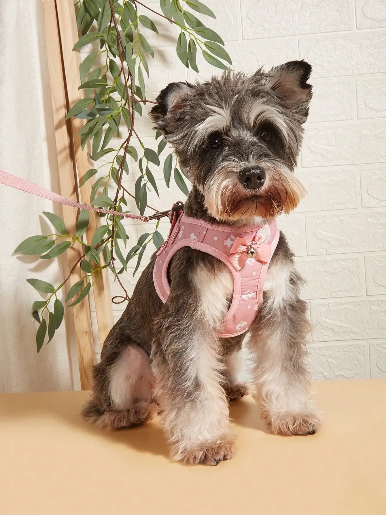 Conjunto de Coleira e Arnês para Cães, Arnês de Malha Macia Anti-Puxão, Colete Ajustável para Cães Pequenos, Médios e Grandes, Gatos