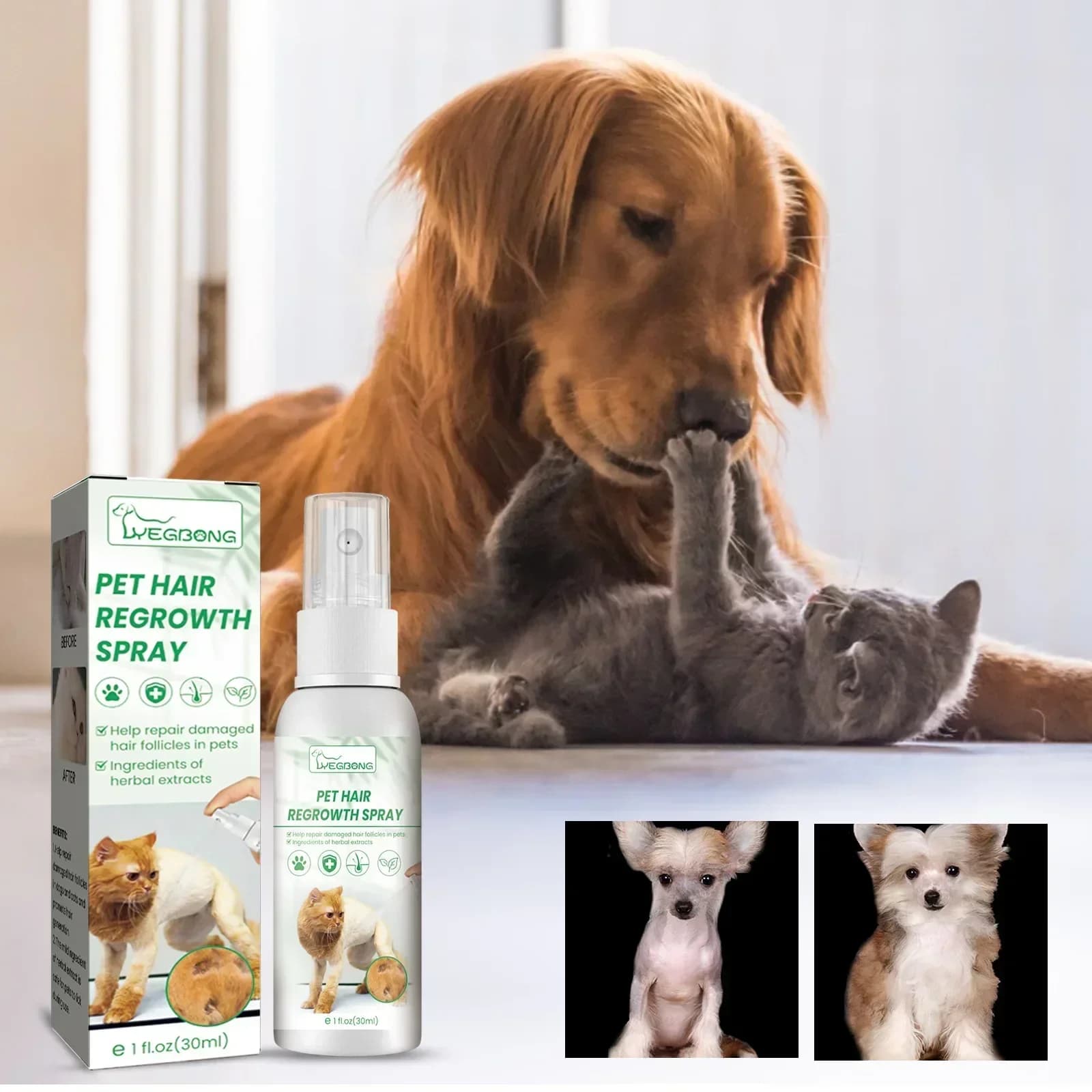 Tratamentos para perda de cabelo de cachorro, suplementos para cães e gatos, ingredientes seguros não tóxicos, uso no corpo, promove o crescimento do cabelo