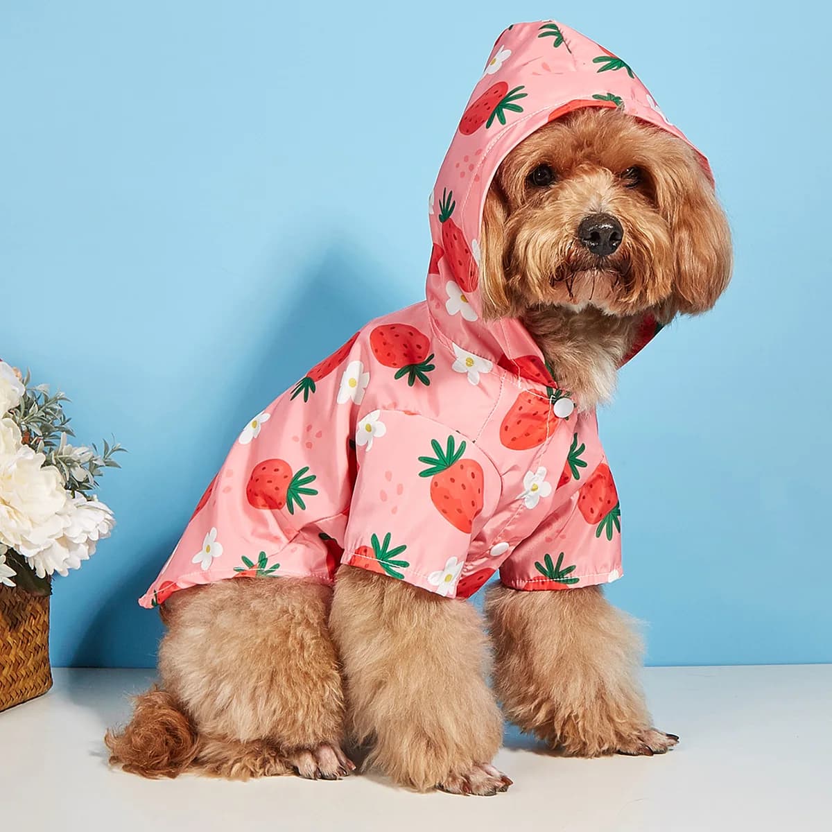 Capa de chuva para cachorro morango  Poncho para cachorro à prova dágua e à prova de vento para cães pequenos, jaqueta leve para animais de estimação para chihuahua, pug shih tzu