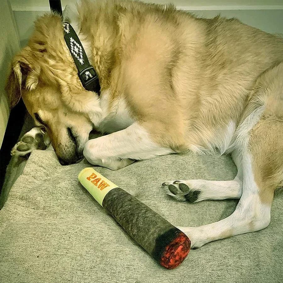 Brinquedo Interativo de Pelúcia para Cães, Design Criativo de Charuto, com Apito, para Roer e Limpar os Dentes, para Cães Pequenos e Médios