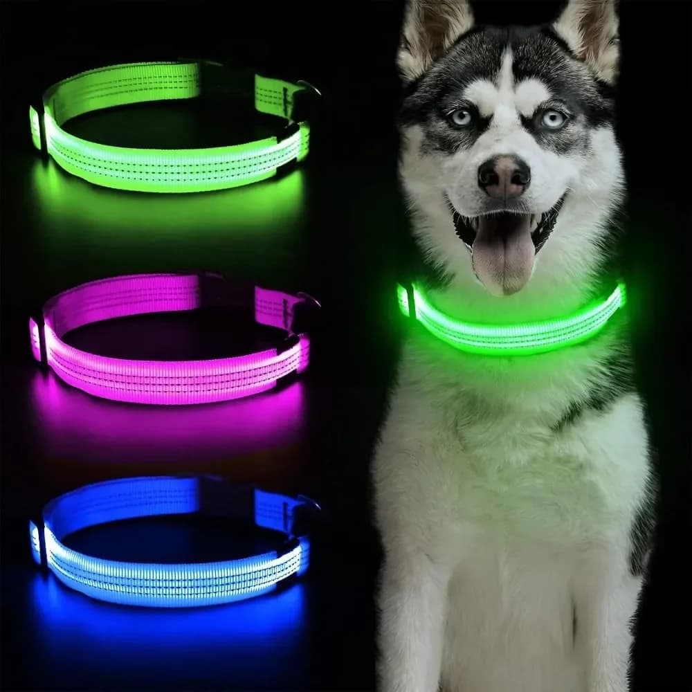Coleira de cachorro LED reflexiva de nylon iluminada coleira para animais de estimação luzes para caminhada noturna suprimentos de acampamento
