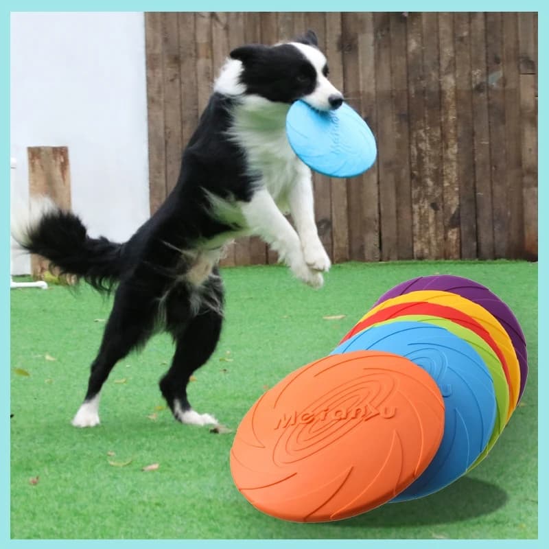 Brinquedo para cachorro com disco voador de silicone ecológico  Frisbee de cachorro durável e resistente à mastigar para treinamento e jogo interativo ao ar livre B2