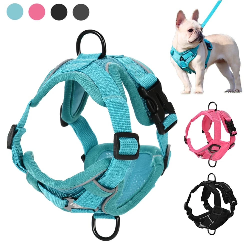 Conjunto de coleira para cães, colete respirável para animais de estimação pequenos e médios, gatos, reflexivo, ajustável, filhote de cachorro, ao ar livre, chihuahua, buldogue, suprimentos