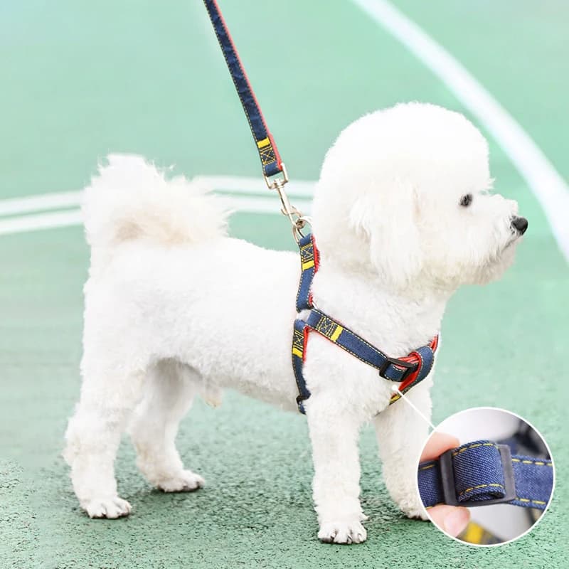 Coleira de cowboy para cachorro, anel de pescoço pequeno, médio e grande, filhote de cachorro, animal de estimação, teddy, golden retriever, cinta peitoral, coleira para caminhada