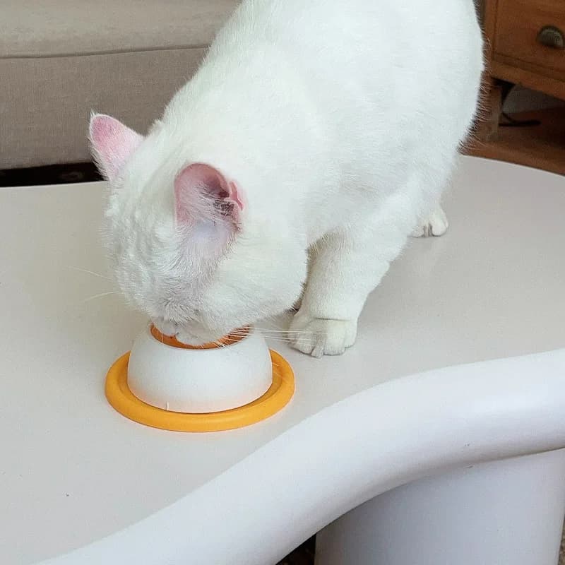 Lamber brinquedos para cães interativos brinquedos para cães alimentador lento dispensador de alimentos para treinamento de cachorros enriquecimento gato caixa de alimentação acessório