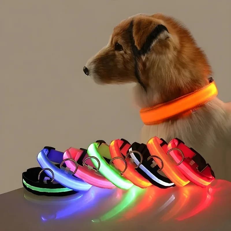 Coleira de nylon para cães com LED, brilho noturno, segurança, brilho no escuro, trela para cães, acessórios luminosos fluorescentes para cães.
