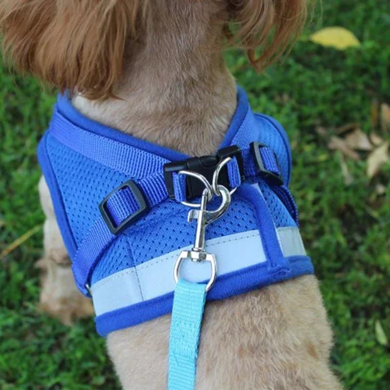 Colete arnês trela malha ajustável colete cão arnês colar cinta peito trela arnês com corda de tração xs/s/m/l/xl