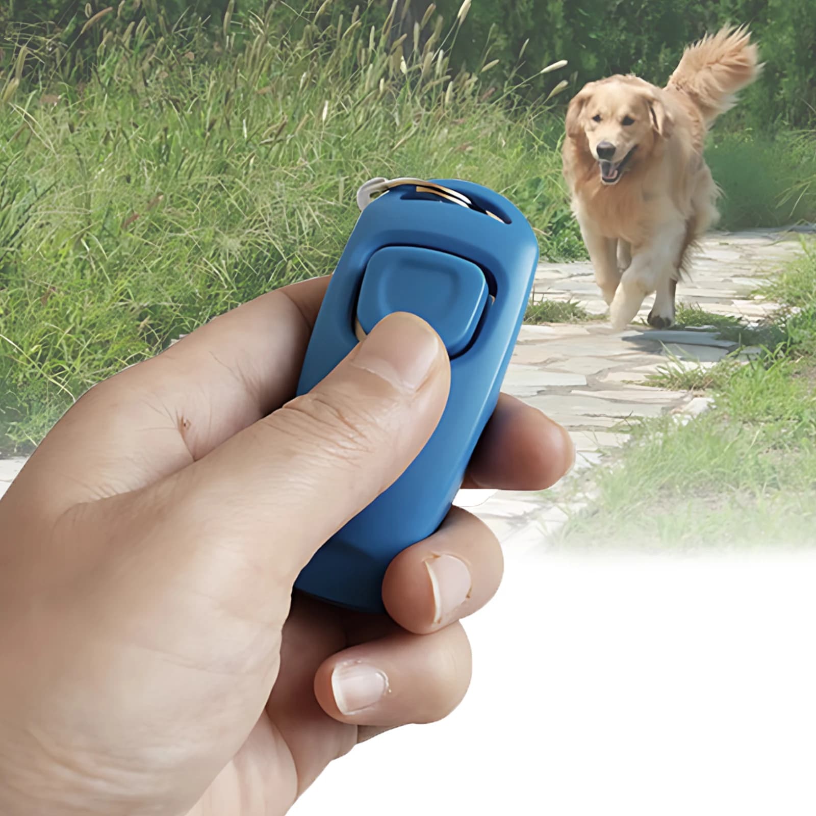 Pet Clicker e treinador de apito com chaveiro, versátil ferramenta de treinamento do filhote de cachorro, flauta do cão, 2-em-1