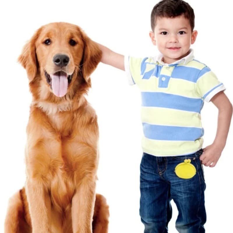 Bolsa Portátil de Silicone para Petiscos de Cães, Bolsa de Cintura para Treinamento de Cães, Bolsa de Armazenamento de Alimentos para Cachorros ao Ar Livre para Caminhadas e Trilhas