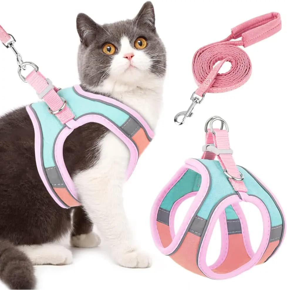 Coleira para Gato com Guia, Antiderrapante, Fivela de Segurança em Velcro para Gatinhos, Refletiva Noturna, Guia para Passeio de Animais de Estimação