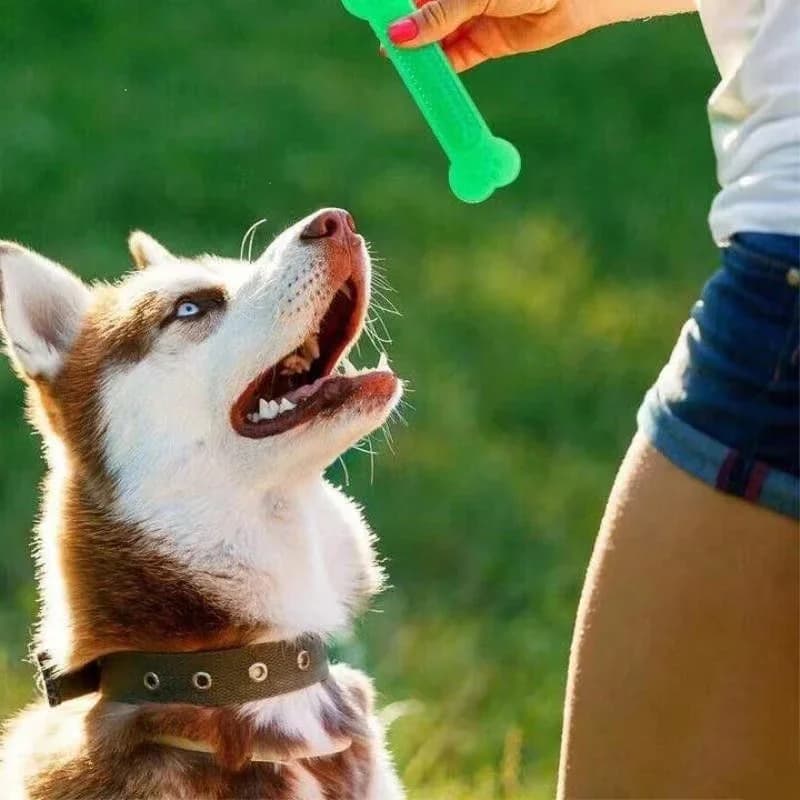 Brinquedo de mastigar osso de cachorro super resistente, arco-íris para mastigadores agressivos, limpeza de dentes de cachorro, clicker de treinamento azul, obediência ao ar livre, traini