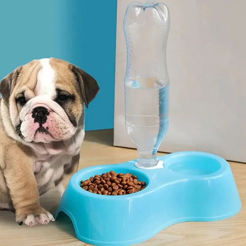 Porta dupla automática dispensador de água para animais de estimação, bebedouro gato, utensílios de alimentação, pet tigela, cão suprimentos