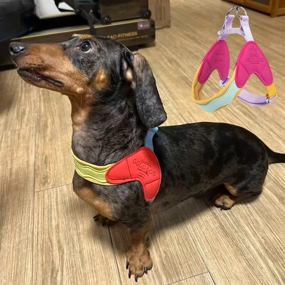 Coleira Peitoral Anti-Puxão para Cães Filhotes, Coleira de Moda para Animais de Estimação, Acessórios para Cães Pequenos e Médios, Dachshund, Poodle, Pomeranian, Pug