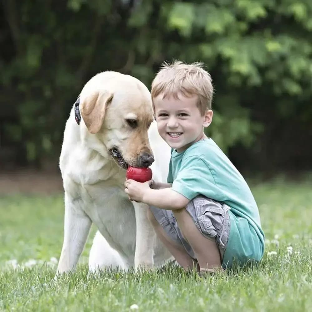 Novo clássico kong cão errático salto stuffable kong filhote de cachorro tratar-enchimento capacidades durável mastigar