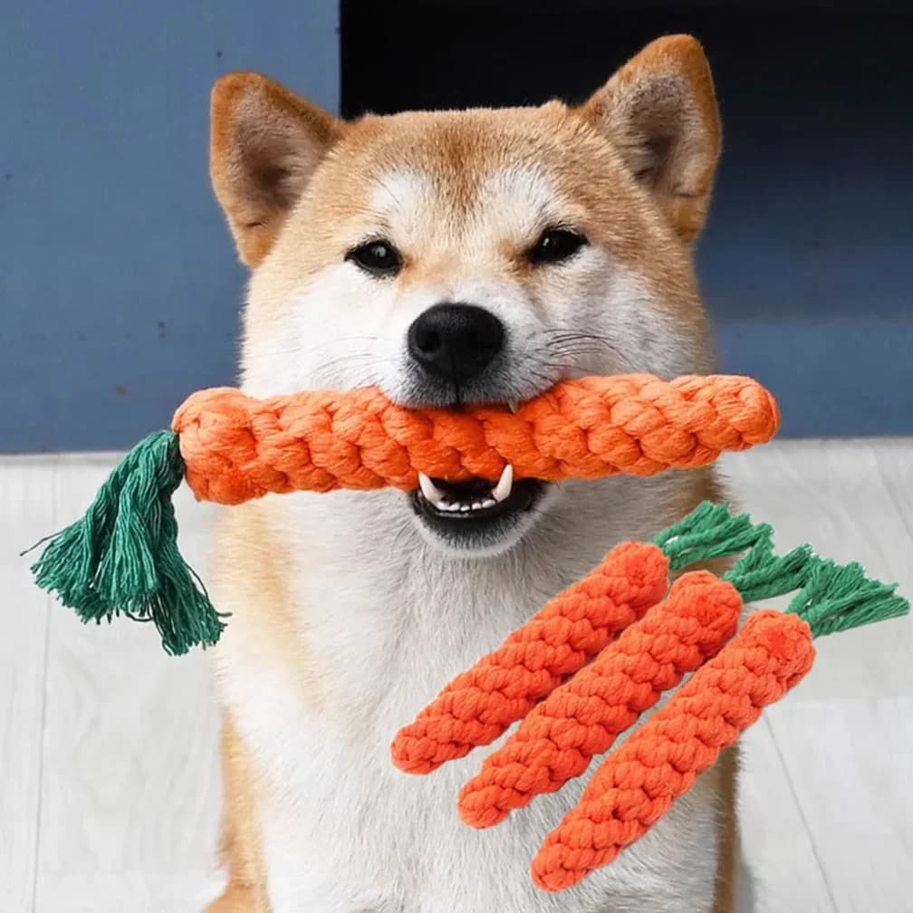 1 pçs cenoura cão mordida corda brinquedos do cão de estimação seguro durável trançado mordida cão mastigar brinquedos resistente filhote de cachorro molar limpeza dos dentes corda de algodão