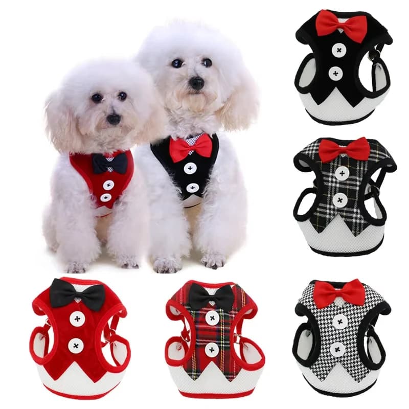 Elegante Bow Dog Coleiras, Corda de Tração, Arnês para Cães Pequenos e Médios, Cat Chest Strap, Acessórios para Cães, Presentes de Natal, Gravata