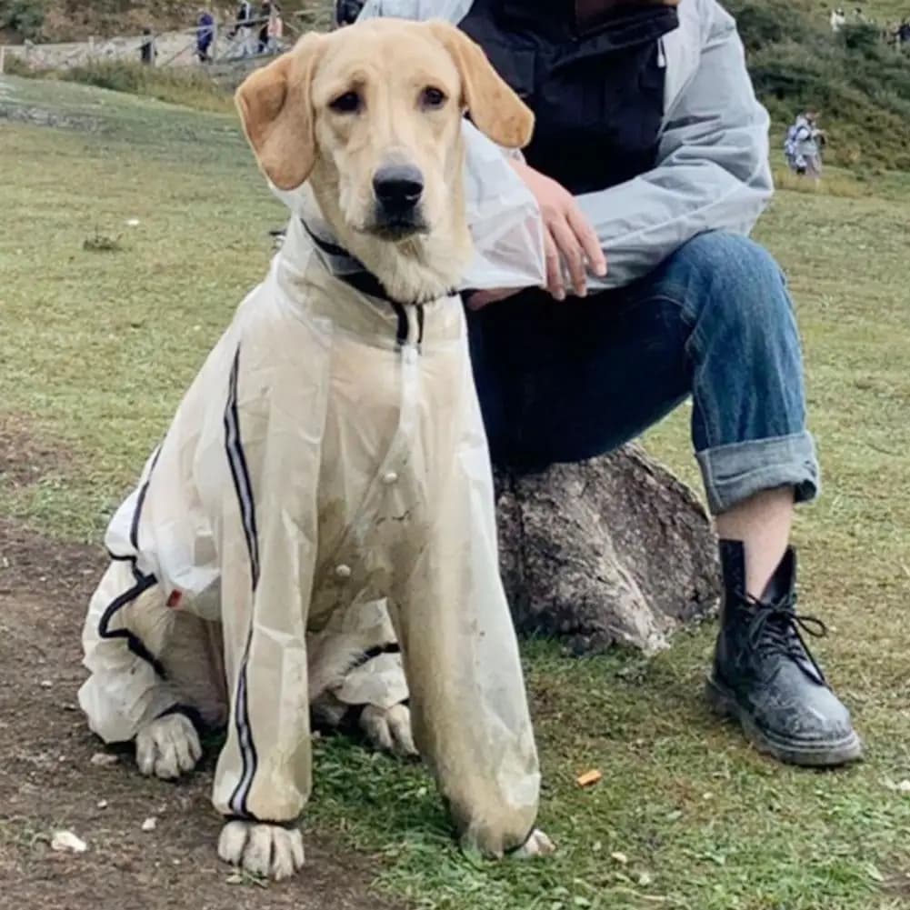 Capa de chuva para animais de estimação transparente impermeável com capuz cachorro quatro patas chuva para fora roupas para cães grandes pequenos acessórios para cães gatos   accessories