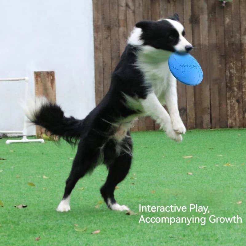 Disco Voador Meianju para Cães, Resistente a Mordidas, de Borracha Macia, Flutuante, Brinquedo Interativo para Treinamento ao Ar Livre para Cães Adultos, Border Collie