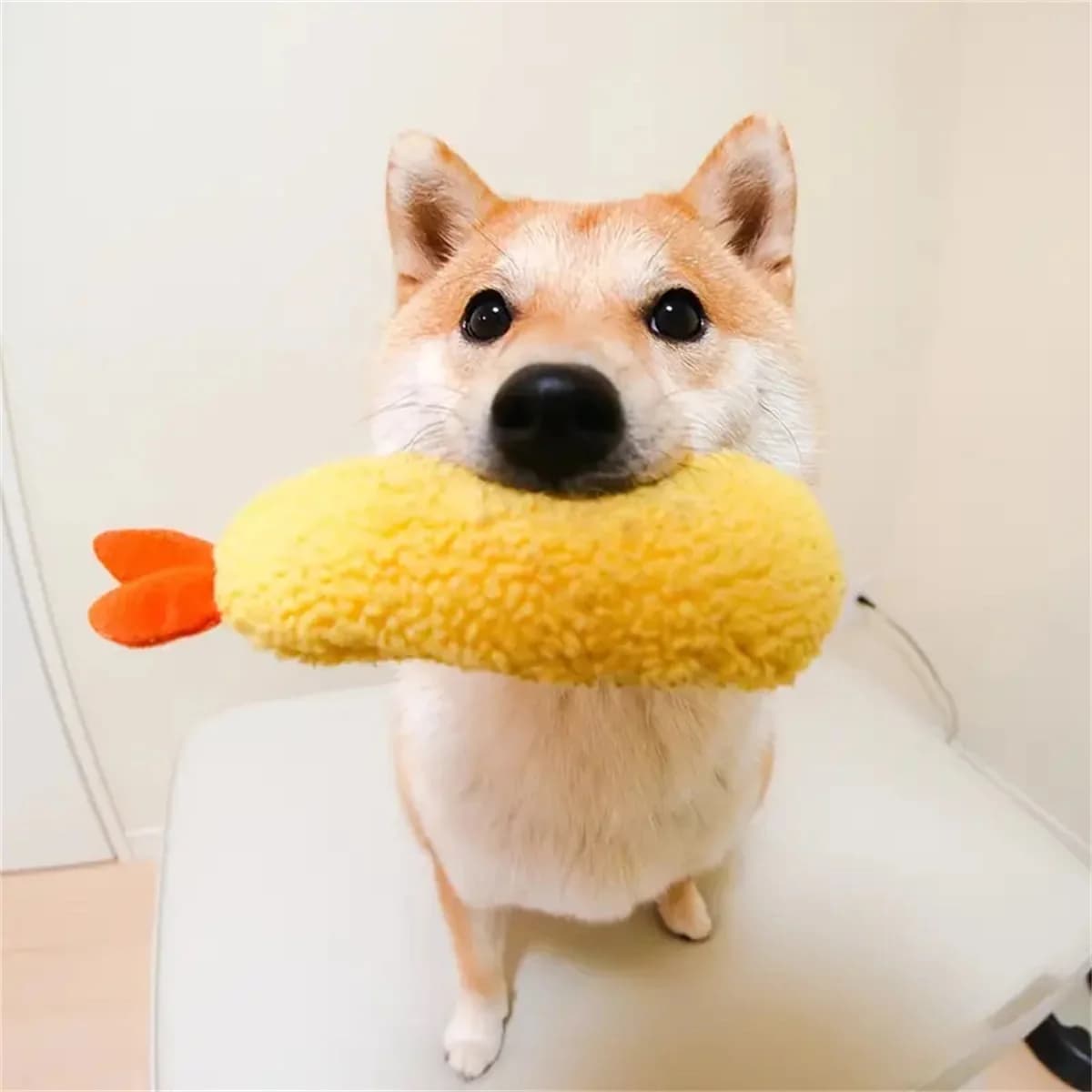Camarão frito Tempura Dog Chew Bite Squeaky Toy, Bonito recheado por cachorro, Pet Play, Terrier, hond, Shiba, Yorkshire, Corgi