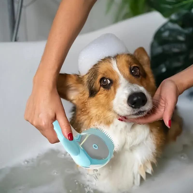 Escova de banho para cães, shampoo, pente, purificador para chuveiro de cachorro, banho de animais de estimação e escova de aliciamento com alça para cabelos curtos e longos