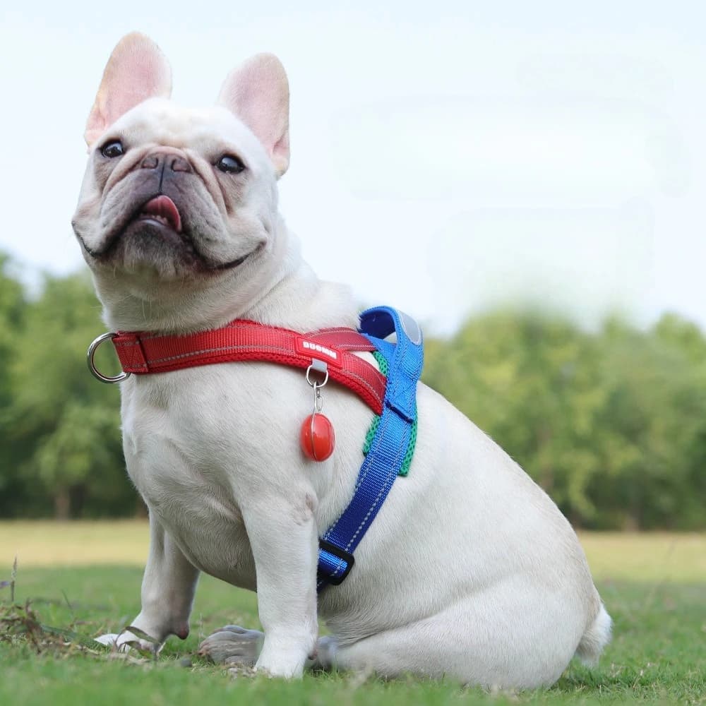 Arnês para cães tipo sela, cinta peitoral para cães pequenos, médios e grandes, coleira para cachorros, caminhada ao ar livre, suprimentos para cães