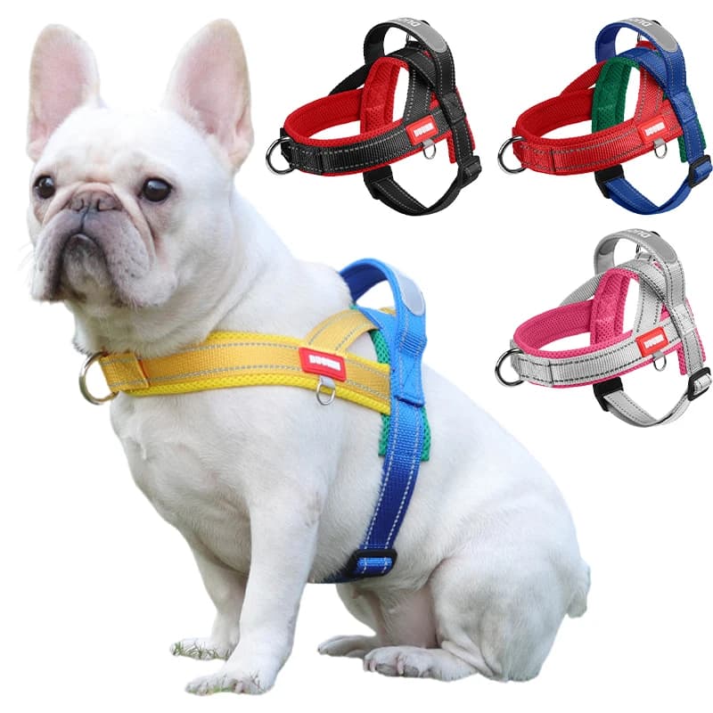 Novo arnês para cães tipo sela, cinta peitoral para cães pequenos, médios e grandes, coleira para cachorros, caminhada ao ar livre, suprimentos para cães