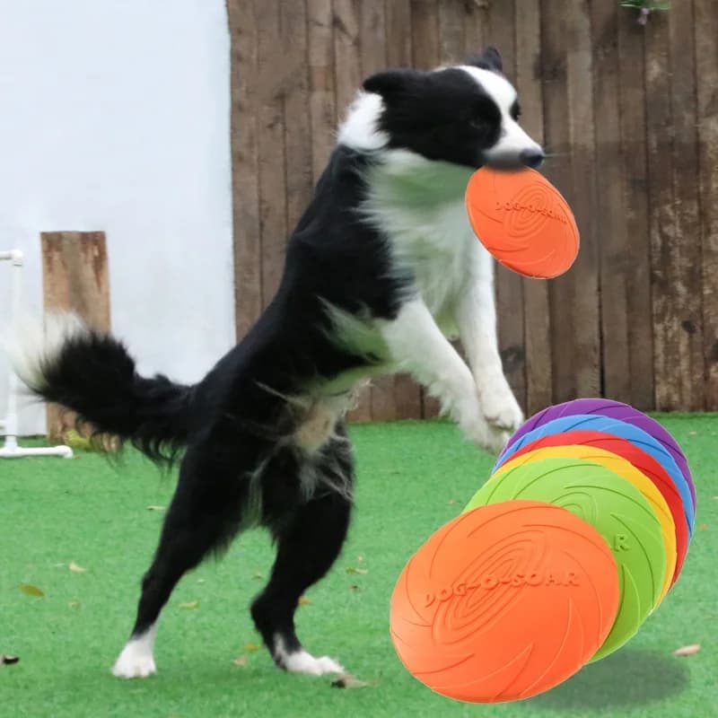 Brinquedo interativo de disco voador de silicone para cães e gatos, disco voador resistente à mastigar, jogo para animais de estimação, perfeito para treinamento de cachorros, divertido