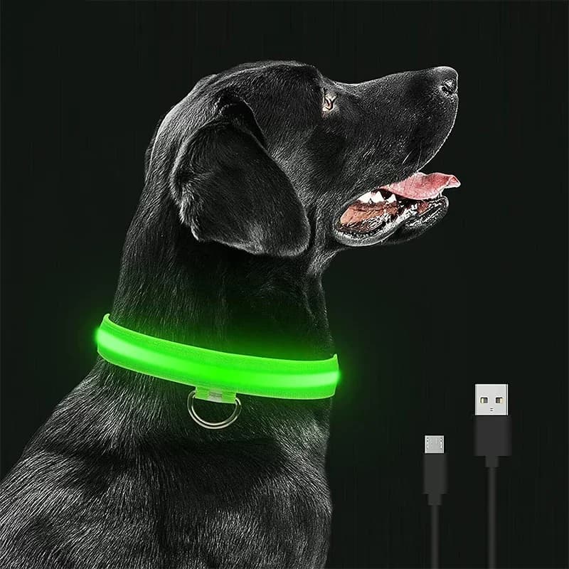 Coleira brilhante de led para cães, recarregável, à prova dágua, luminosa, ajustável, luz noturna, colar de segurança para cães de estimação