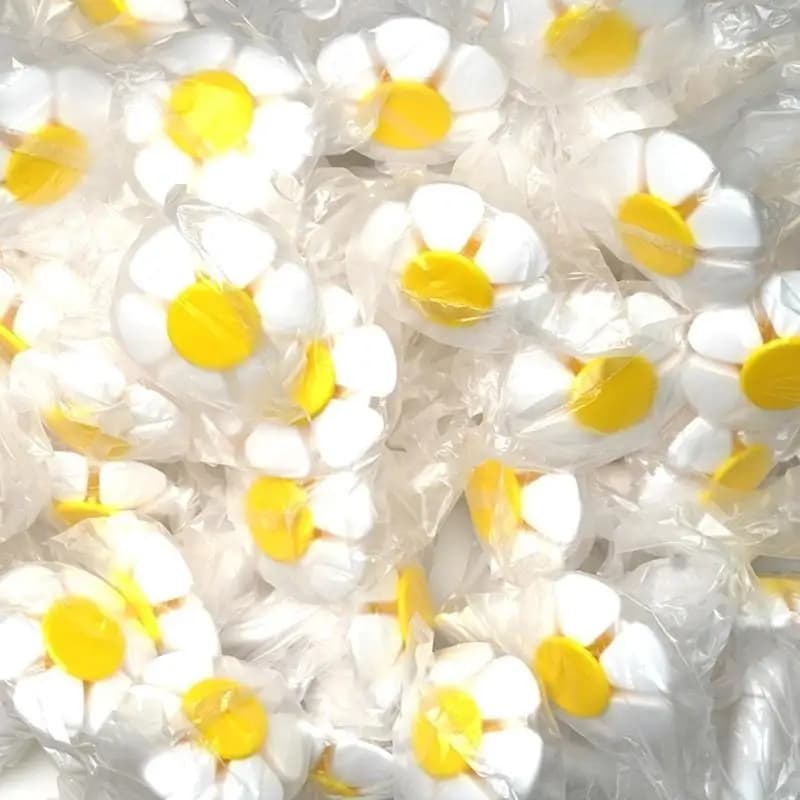 Flor do bico reposição L69A para cabeça para aço inoxidável para fonte gato Acessórios automáticos dispensador água