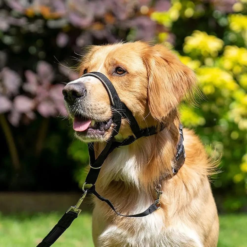 Ajustável Anti Barking Dog Halter, Non Pull Nylon Leader Harness, Colar de cabeça de cão, Cabeçalho do cão