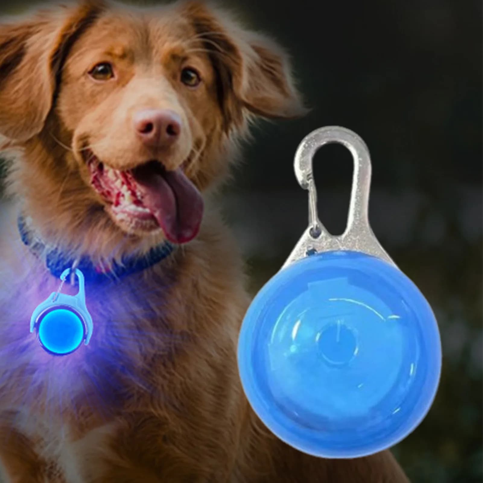 Coleira pendente com brilho de led, acessórios para animais de estimação, segurança noturna, caminhada para gato, cachorro, pequeno, médio e grande