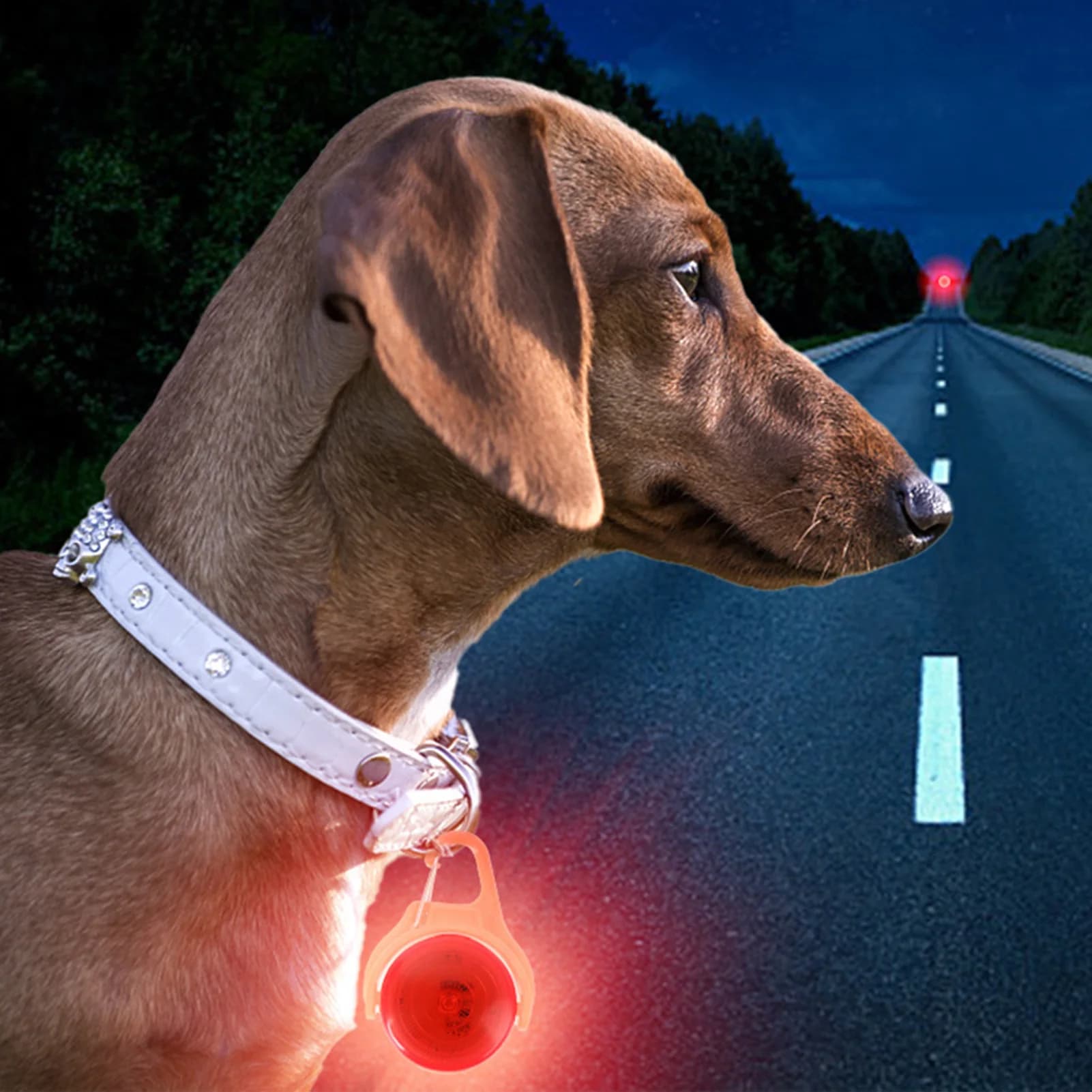 Pingente Luminoso LED para Coleiras de Cães, Luz de Flash para Filhotes, Acessório Decorativo para Coleira e Guia, Colar para Cães