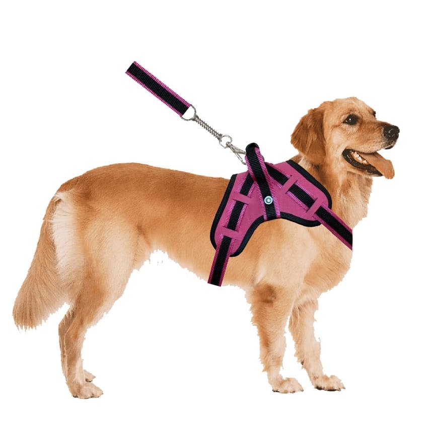 Peitoral cachorro pet reforçado ideal para cachorros de grande e médio porte Labrador Pastor Alemão Golden Retriever Border Collie Boxer Collie Dálmata Rottweiler Fila Brasileiro Dogue Alemão São Bern