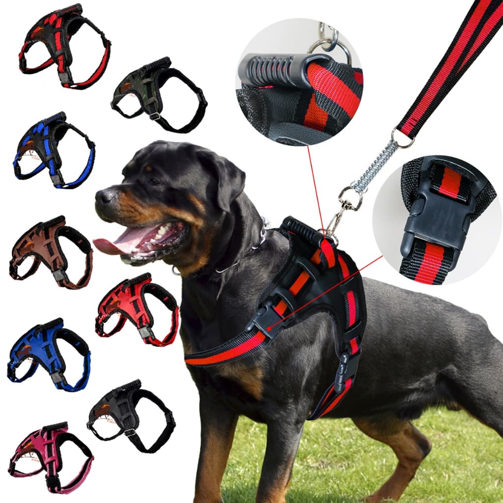 Coleira Peitoral Cachorro Conjunto De Guia  Coleira Tipo Peitoral Para Pet Pequeno Médio e Grande