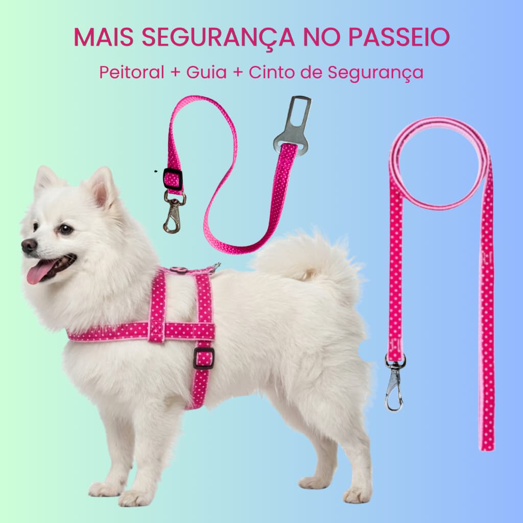 Kit Peitoral  Guia  Cinto Segurança Para Cachorro Carro